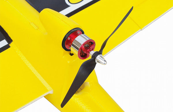 Joysway Freeman 1600 V3 2.4G RTF RC plane model