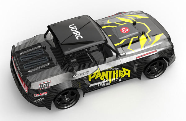 Udi Panther 1/16th 4WD R/C racing car 2.4GHz w/ESP