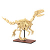 CADA CREATIVE Dinosaur Fossils: Velociraptor - 256 pcs