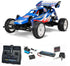 Tamiay RC Buggy Rising Fighter 2WD KIT car model starter pack