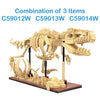 CADA CREATIVE Tray of 3 Dinosaur Eggs with Stegosaurus, Triceratops & Velociraptor