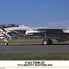 Hasegawa 1/72 F-14A Tomcat VF-2 Bounty Hunters 1976 Kit