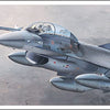 Hasegawa 1:72 F-16B Plus Fighting Falcon