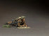 Homefront 1/35 scale WW2 British Infantry relaxing #6