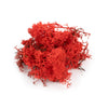 Reindeer Moss (Icelandic Moss) Red