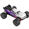 PD RACING 1:16 RTR TR16II Brushed RC Truggy (Purple, Pink & White) 1:16