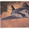 Hasegawa 1:72 F-117A Nighthawk