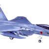 Hasegawa 1:48 F-15J-DJ Eagle J.A.S.D.F