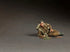 Homefront 1/35 scale WW2 British Infantry relaxing #5