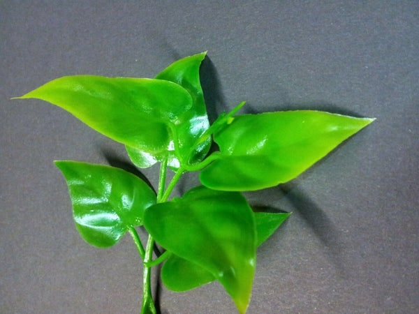 Jungle Plant #10