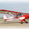 Phoenix Super Cub PA-18 33cc ARTF RC plane