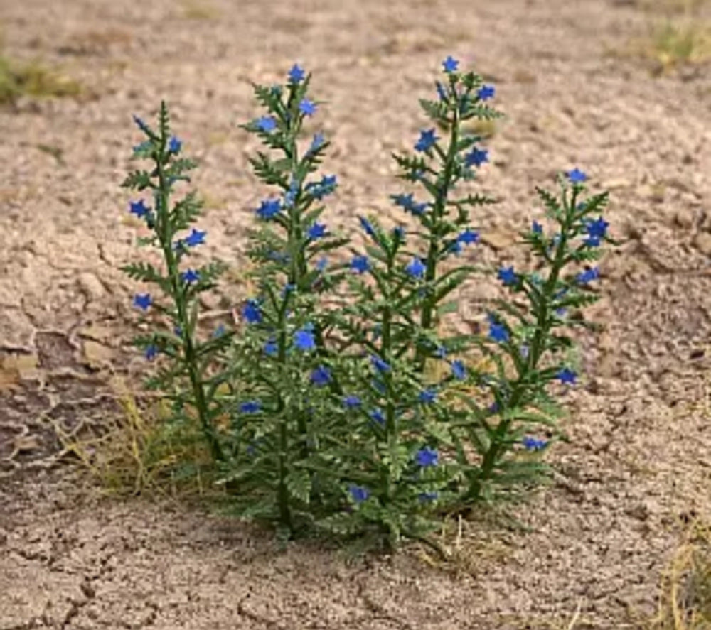Model Scene - 1/35 scale Viper's Bugloss - laser cut product from coloured paper