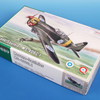Special Hobby 1/32 Scale Morane-Saulnier MS-406C.1
