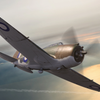 Dora Wings 1/72 Scale DORDW72029 Republic P-43 Lancer (reconnaissance), 1/72