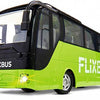 CARSON R/C FlixBus 2.4GHz 100% RTR remote control bus model