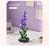 files/zqreboa5eur.jpg