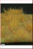 1/35 Scale Greenline Short Grass mat-Dry