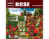 DIOPARK 1/35 scale Roses rush bushes
