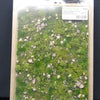 Model Scene - GRASS MATS WITH CALC-STONE (18x28cm) Early summer, stonny (calc)