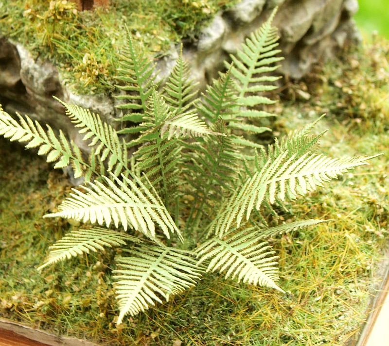 Model Scene - LOW VEGETATION 1:32 / 1:35 Fern