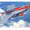 Italeri 1/48 F/A-18F U.S. Navy Special Colors