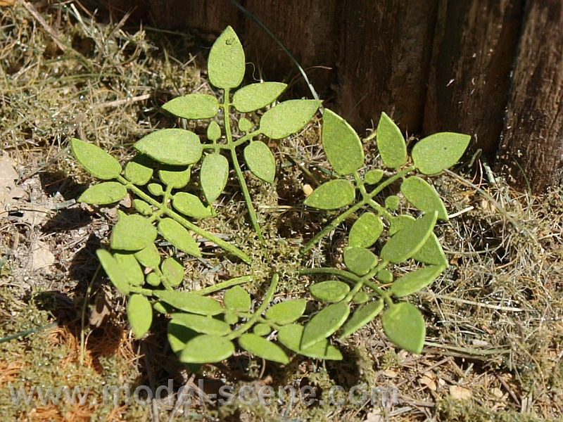 Model Scene - LOW VEGETATION 1:32 / 1:35 Low weed