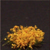 1/35 Scale Greenline Flowers Yellow 40 Pieces