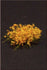1/35 Scale Greenline Flowers Yellow 40 Pieces