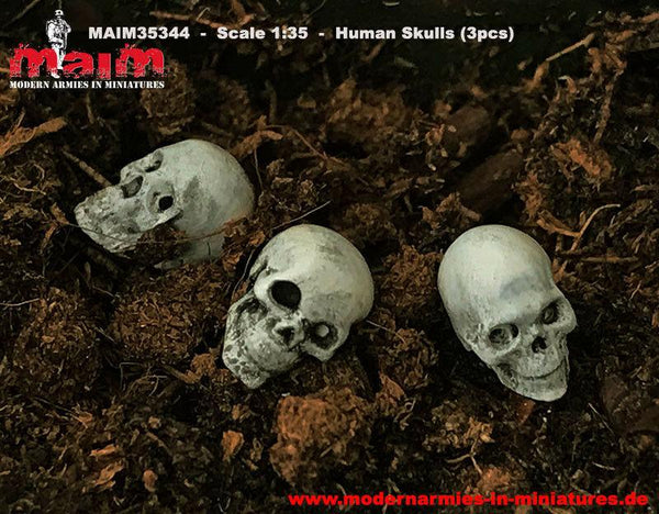 Human Skulls - Schädel (3pcs) / 1:35