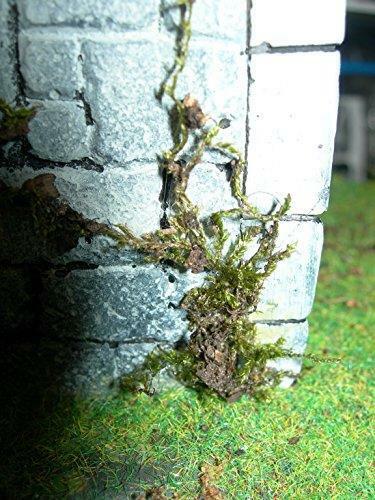 Moss Lichen