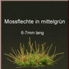 1/35 Scale Greenline Moss Clumps MED Green
