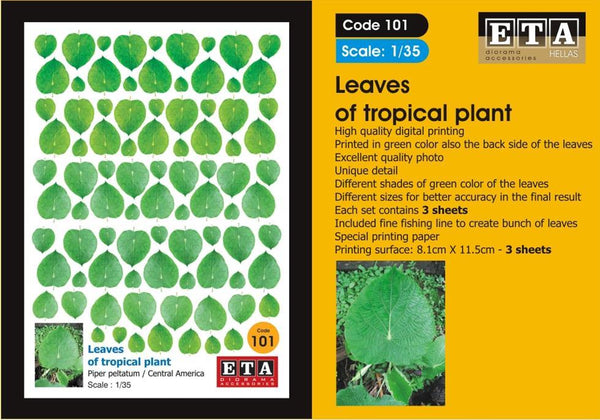 Leaves of tropical plant Piper peltatum Central America Suit scales 1/35, 1/32, 1/24