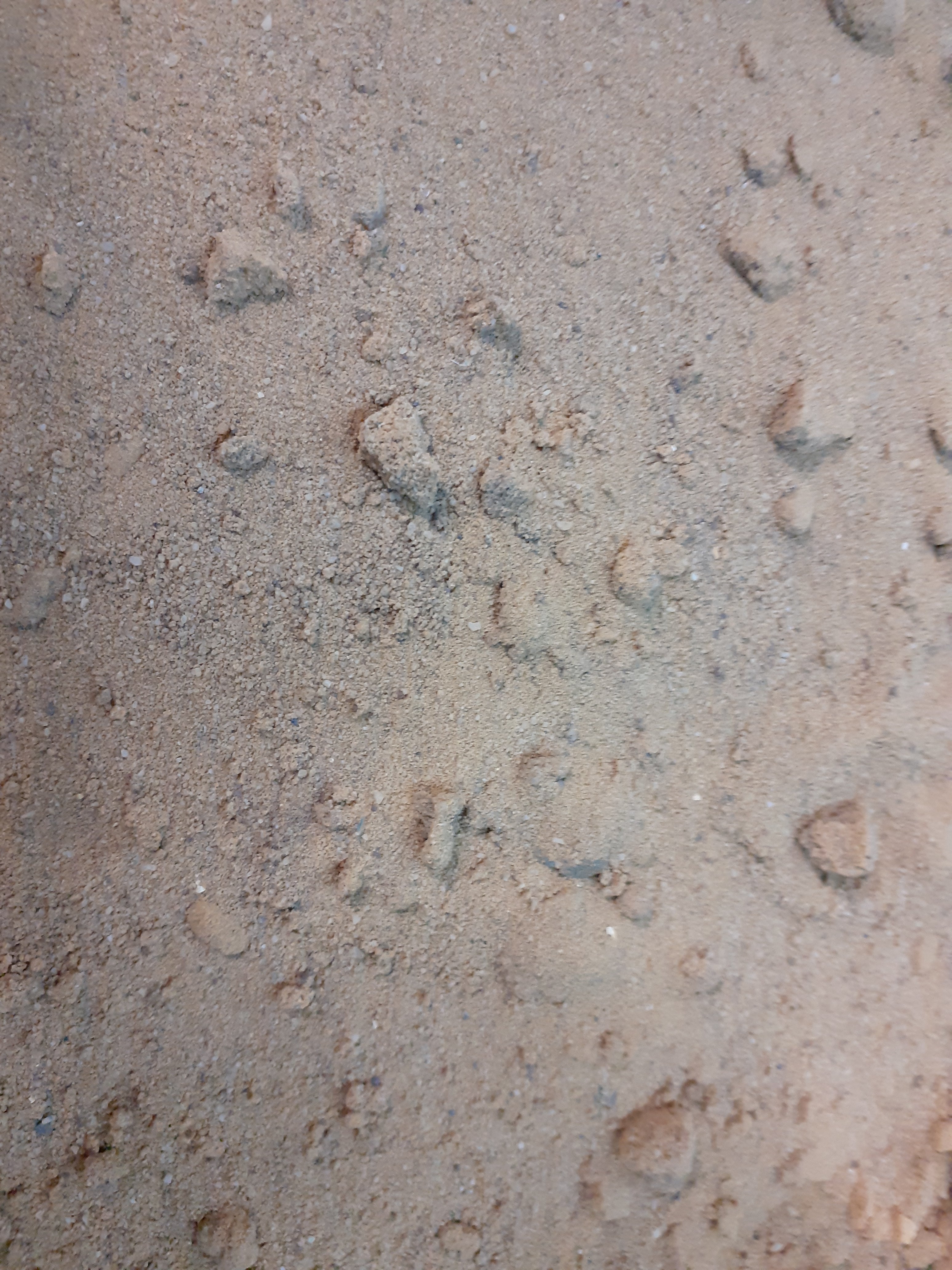 Model basing sand ground texture scatter 20 gram pack | Fields of Glory ...