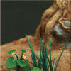 1/35 Scale Greenline Marsh Marigold Plants