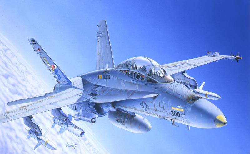ITALERI 1/72 AIRCRAFT 1:72 F/A-18 C/D WILD WEASEL
