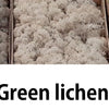 Lichen Diorama pack – 3 colours