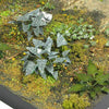 1/35 Scale model kit - Photo etched Plant set Weeds E