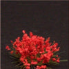 1/35 Scale Greenline Flowers RED 40 Pieces