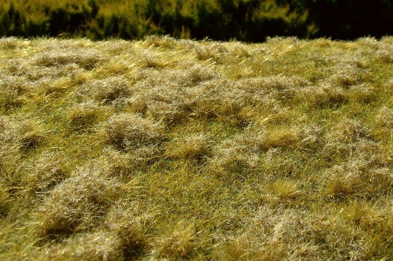 Model Scene - GRASS MATS PREMIUM (18x28cm) Fallow field, Late summer