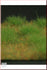 1/35 Scale Greenline Short Grass mat-Medium Green