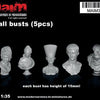 MAIM Small Busts (5pcs) / 1:35