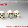 Human Skulls - Schädel (3pcs) / 1:24
