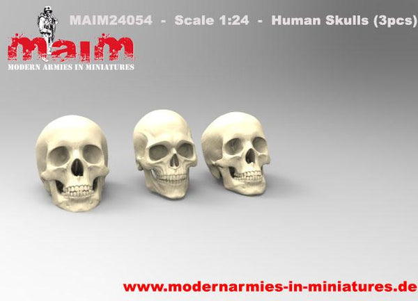 Human Skulls - Schädel (3pcs) / 1:24