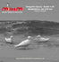 1/35 Scale model kit Seagulls - Möwen (3pcs)