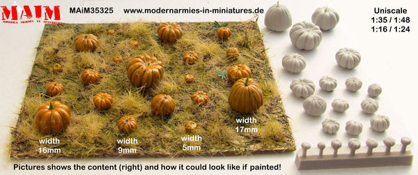 1/35 Scale resin model kit Pumpkins Karbisse Set 1:35