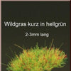 1/35 Scale Greenline Grass Short Tufts Light Green GL005