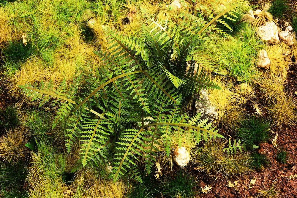 Model Scene - LOW VEGETATION 1:32 / 1:35 Bracken Fern 1:35