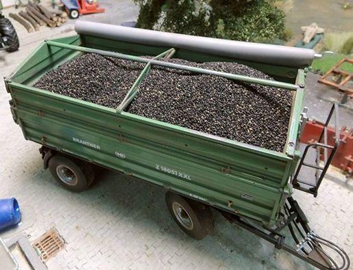 1/35 Scale Bag of Rapseed 25g