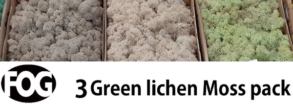 Lichen Diorama pack – 3 colours