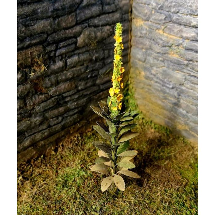 Model Scene Mullein # 023